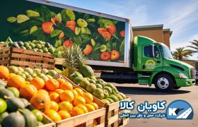 fruit transportation