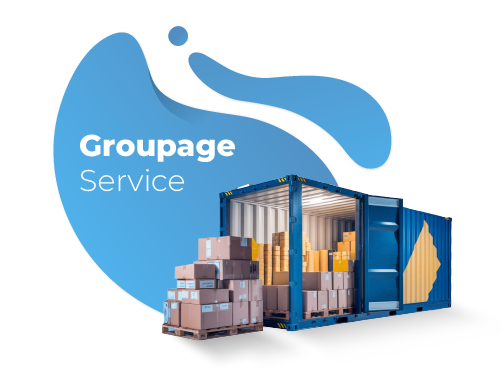 Home 2 cats web @kavian kala 05